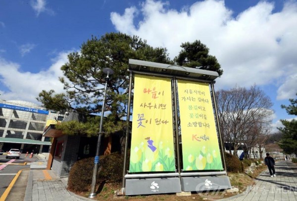 K-시흥시-다시봄,화사한 꽃망을 봄 (1).zip-K-시흥시-다시봄,화사한 꽃망을 봄5.jpg
