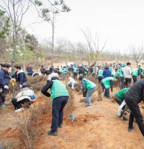 인천 서구, 제79회 식목일 기념  나무심기 행사 개최