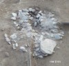 춘천시 고산의 발굴현장에서 훼손된 고인돌 십여기 발견 ‘신고’