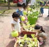 인천부평구 어린이급식관리지원센터, 채소와 친해지는 싱싱텃밭 가꾸기 실시