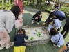 인천 부평구, ‘인천나비공원 어린이날 행사’ 개최